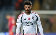 开云体育app下载-世俱杯商业合作风险预警系统建设与应急管理